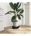 vidaXL Plant Trolley with Wheels Diameter 30 cm Black 170 kg