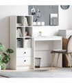 vidaXL Desk with Drawer with Shelf with Storage 2 pcs White