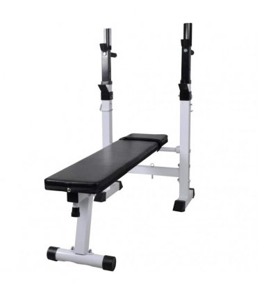 vidaXL Workout Bench with Weight Rack, Barbell and Dumbbell Set 60.5kg