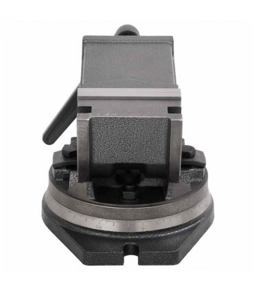 vidaXL 2-Axis Tilting Vice 100 mm