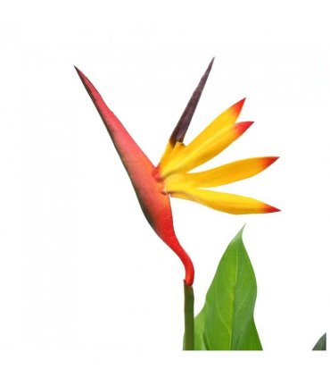vidaXL Artificial Strelitzia Reginae Plant Bird of Paradise 66 cm