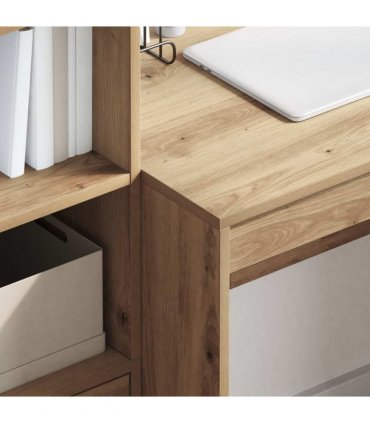 vidaXL Desk with Drawer with Shelf with Storage 2 pcs Artisan Oak