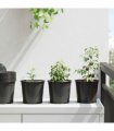 vidaXL Flower Pot 50 pcs Black Ø 15 x 13 cm Plastic