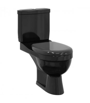 vidaXL Toilet With Cistern Black