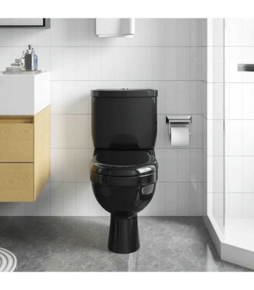vidaXL Toilet With Cistern Black