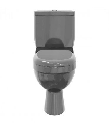 vidaXL Toilet With Cistern Black