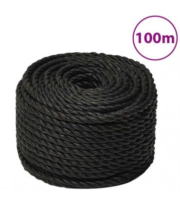 vidaXL Work Rope Black 10 mm 100 m Polypropylene