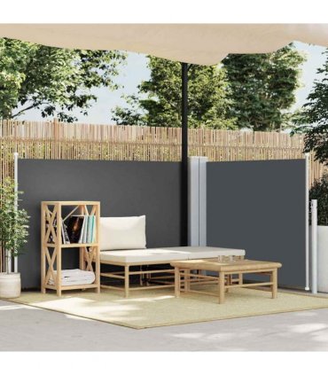 vidaXL Side Awning | Anthracite | Polyester with PU coating | 100 x 600 cm