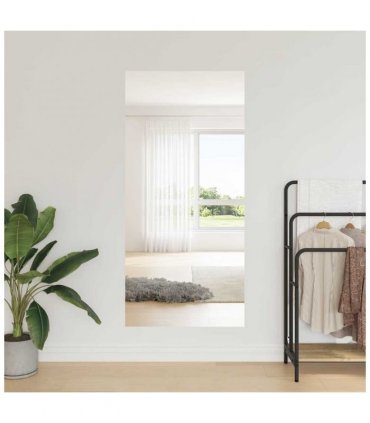 vidaXL Self-adhesive Mirror Film 60 x 100 cm 2 pcs Silver PET