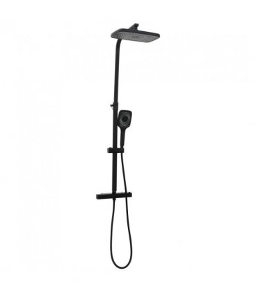 vidaXL Dual Head Shower Set with Mixer and Hose Black Brass