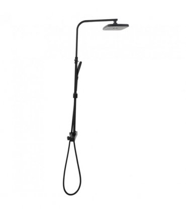 vidaXL Dual Head Shower Set with Mixer and Hose Black Brass