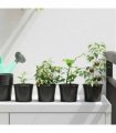 vidaXL Round Flower Pot 50 pcs Black Ø 10 x 8 cm Plastic