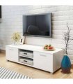 vidaXL TV Cabinet High-Gloss White 120x40.5x35 cm