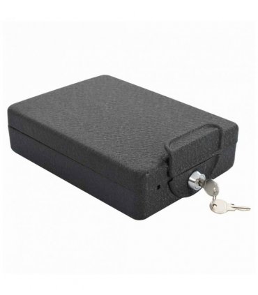vidaXL Car Safe with Lock Black 22 x 16 x 7 cm Steel