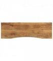 vidaXL Desk Top with Curve 160x50x2.5 cm Solid Wood Rough Mango