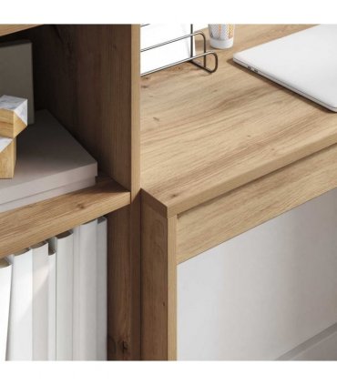 vidaXL Desk with Drawer with Shelf with Storage 2 pcs Artisan Oak