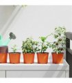 vidaXL Round Flower Pot 100 pcs Terracotta Ø 10 x 8 cm Plastic