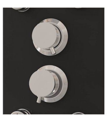 vidaXL Shower Panel Unit Glass 25x47.5x130 cm Black