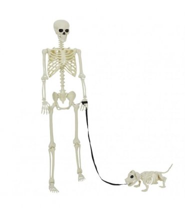 vidaXL Halloween Decoration Skeleton 2 pcs White Polypropylene