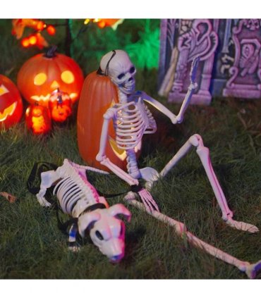 vidaXL Halloween Decoration Skeleton 2 pcs White Polypropylene