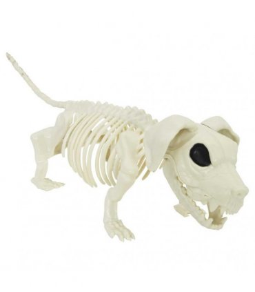 vidaXL Halloween Decoration Skeleton 2 pcs White Polypropylene