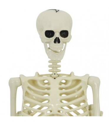 vidaXL Halloween Decoration Skeleton 2 pcs White Polypropylene