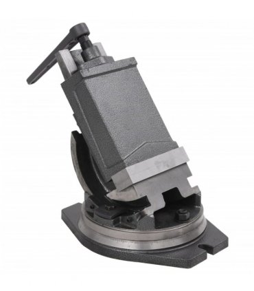 vidaXL 2-Axis Tilting Vice 160 mm