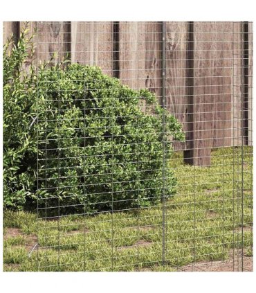 vidaXL Chicken Cage 2 pcs Silver 600 x 100 x 210 cm Galvanised Steel