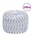 vidaXL Boat Rope White 10 mm 100 m Polypropylene