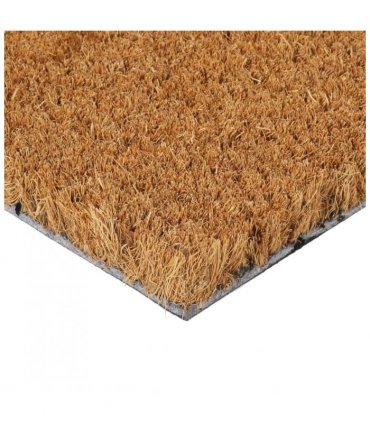 vidaXL Door Mat Natural 45x75 cm Tufted Coir