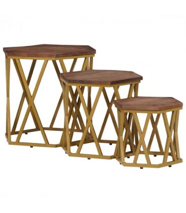 vidaXL Coffee Tables Brown 55 x 55 x 50 cm Solid Mango Wood