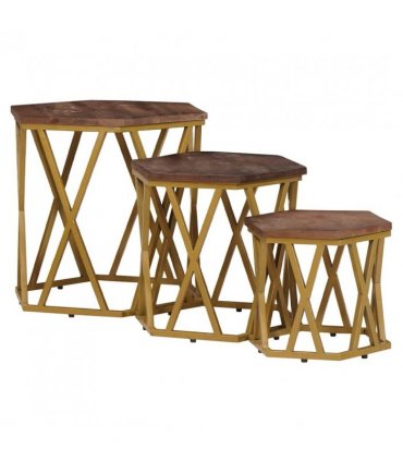 vidaXL Coffee Tables Brown 55 x 55 x 50 cm Solid Mango Wood