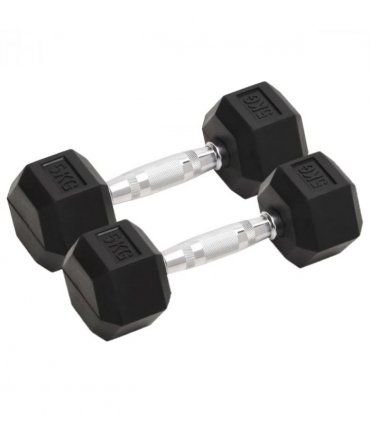vidaXL Dumbbells 2 pcs 10 kg Total Cast Iron