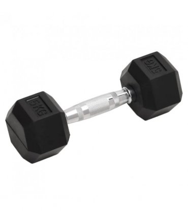 vidaXL Dumbbells 2 pcs 10 kg Total Cast Iron