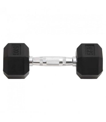 vidaXL Dumbbells 2 pcs 10 kg Total Cast Iron