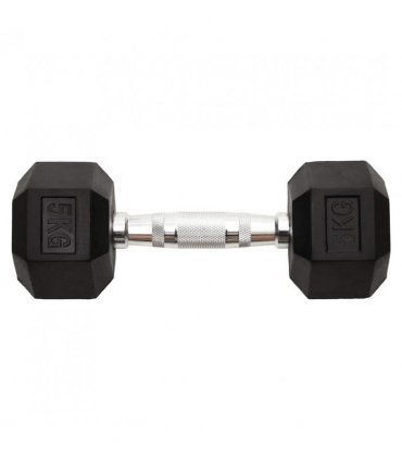 vidaXL Dumbbells 2 pcs 10 kg Total Cast Iron