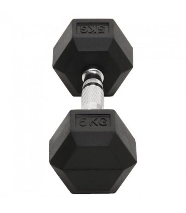 vidaXL Dumbbells 2 pcs 10 kg Total Cast Iron
