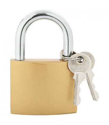 vidaXL U Lock with Keys 12 pcs Brass Iron