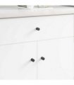 vidaXL Cabinet Knob 1011 pcs Black Iron
