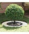 vidaXL suitable for Flat Tree Rings 5 pcs White Ø50 / 80 cm Steel