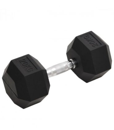 vidaXL Dumbbell 20 kg Cast Iron