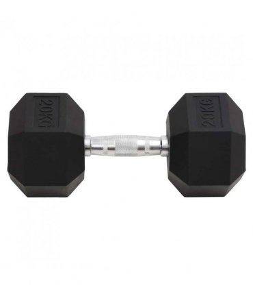 vidaXL Dumbbell 20 kg Cast Iron
