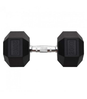 vidaXL Dumbbell 20 kg Cast Iron