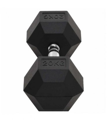 vidaXL Dumbbell 20 kg Cast Iron