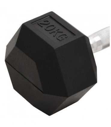 vidaXL Dumbbell 20 kg Cast Iron