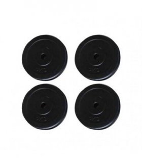 vidaXL Weight Plates 4 pcs 20 kg