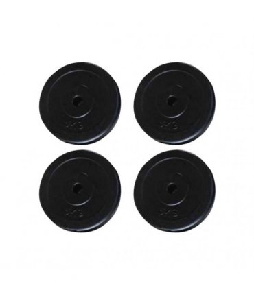 vidaXL Weight Plates 4 pcs 20 kg