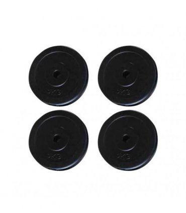 vidaXL Weight Plates 4 pcs 20 kg