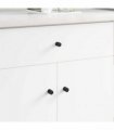 vidaXL Cabinet Knobs 968 pcs Black Iron
