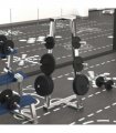 vidaXL Weight Plate 20 kg Cast Iron